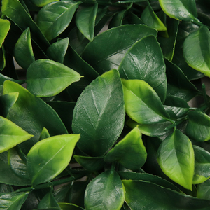 P100-1 <strong>Cover</strong> Outdoor Privacy <strong>Fence</strong> Screening Artificial Boxwood Hedges Panels Faux Grass <strong>Fence</strong> Plant Wall - Product Image 3