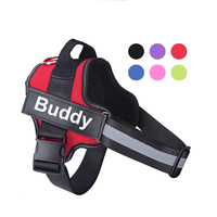 Imbracatura e guinzaglio per cani di lusso personalizzati Set Logo su Patch Drop shipping
