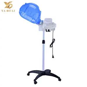 YBL Beauty Salon Stand Spa Professional Hair Spa Steamer Ready to ship for India Africa