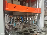 Machine de thermoformage de pots de fleurs en plastique Machine de poinçonnage automatique complète