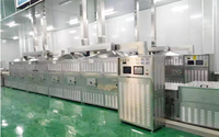 Industriële Grote Productiecapaciteit Tunnel Magnetron Dehydrator Machine Voor Graan Insect Of Fruit