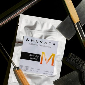 Argile d'argent Shannta, taille M, 10 g/paquet, 99,99 %, pour les amateurs, création de pièces complexes de qualité professionnelle en argent pur à 99,9 % - Product Image 1