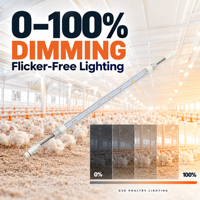 Éclairage linéaire pour volailles 20mm Slim 48V DC IP67 Étanche LED pour poulaillers et systèmes de cages de poulets de chair et de poules pondeuses