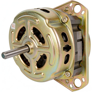 <span class=keywords><strong>Repuestos</strong></span> para Motor de Drenaje de Accionamiento Directo Trifásico de Dos Caras, Compatibles con <span class=keywords><strong>Lavadora</strong></span> <span class=keywords><strong>LG</strong></span>, Accesorio de Repuesto para <span class=keywords><strong>Lavadora</strong></span> - Product Image 1