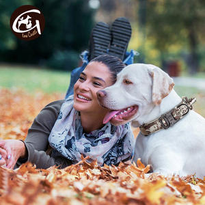 Camouflage in Nylon verde militare per addestramento per cani collare tattico medio grande solido per prodotti transfrontalieri per animali Amazon - Product Image 5