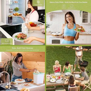6 10 Inch Sugarcane Biodegradable Paper Plates Disposable Compartment Dish Made Bagasse for Birthday Parties Free Samples - Product Image 3