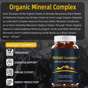 WELLBODY Mendukung Pabrik OEM ODM Suplemen Diet Rasa Asam Jawa Alami Himalaya 100% Murni Permen Jeli Shilajit Emas - Product Image 4
