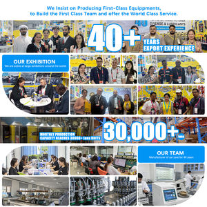 Nettoyant moteur liquide multi-usages haute performance personnalisé pour voitures, nettoyant pour carburateur et starter, bidon en fer 358g, durée de conservation 3 ans - Product Image 3