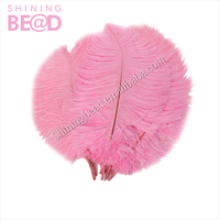 Plumes d'autruche naturelles lisses et moelleuses, blanches, teintées, de 40 à 80 cm, pour la décoration de carnaval, de danseuses et de fêtes - Vente en gros