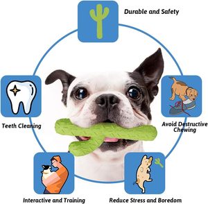 Jouets à mâcher <span class=keywords><strong>pour</strong></span> chiens en caoutchouc durable, écologiques, motif dessin animé, <span class=keywords><strong>pour</strong></span> mâcheurs agressifs, jouets résistants en forme de cactus, nettoyage des dents, entraînement interactif - Product Image 4