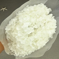 Bunga Kering Asli Abadi Hydrangea Dekorasi Natal Tahun Baru Wisuda Hari Ibu Rangkaian Bunga Kering Kepala Besar
