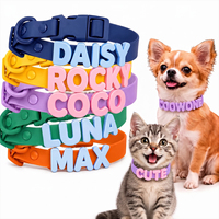 Collier et laisse personnalisés en silicone avec nom, boucle métallique, breloque DIY, collier réglable pour chats et chiens toutes saisons