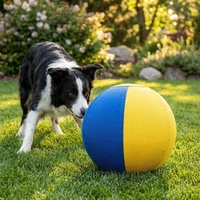 Housse de ballon d'exercice pour chien et cheval en nylon 1680D durable, bleu, jaune, arc-en-ciel, taille personnalisée, avec pompe, logo, anti-éclatement