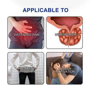 Produk Kesehatan Grosir Plester Herbal Prostat Meredakan Nyeri dan Kebutuhan Buang Air Kecil yang Mendesak Suplemen Herbal Plester - Product Image 5