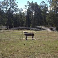Panneaux de clôture mobiles en métal galvanisé robuste noir 5ft*10ft pour ranch, élevage de bétail et chevaux