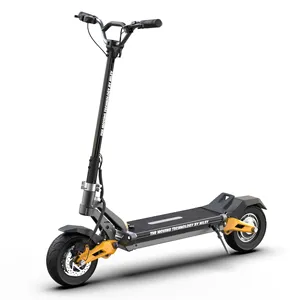 9 inch folding stand oem electric scooter for adult