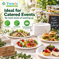 Gros 6 8.8 10 Pouces Jetables Biodégradables Sugracane Bagasse Matériel Rond Bohème Papier Plaques et Bols Pizza Plaques