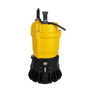 2inch 220V AC Dirty Water Pump Electric Motor Submersible Sewage Water Pump For Float Switch