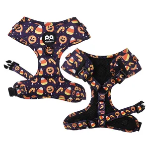 Festival personalizzati tema Halloween divertente Pet Dog imbracatura collare Set guinzaglio