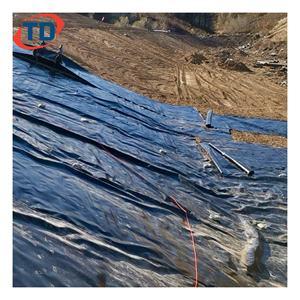 Geomembrana de HDPE de Bajo Precio para Revestimiento de Presas, Estanques de Peces y Vertederos, 0.5mm 0.75mm 1mm 2mm, para Piscicultura, Venta al Por Mayor de Fábrica - Product Image 6