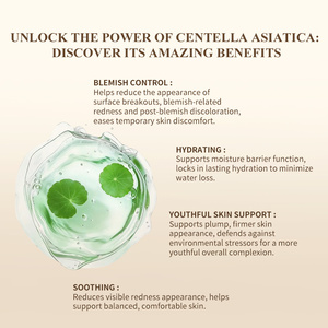 Private Label CICA Ceramide Niacinamide Face Skincare Soothing Repair Centella Asiatica <strong>Skin</strong> Care Set - Product Image 3