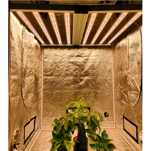 Lámpara de <span class=keywords><strong>Cultivo</strong></span> <span class=keywords><strong>LED</strong></span> de Espectro Completo para Interiores de 720W-PPE2.5/2.7, 4FT, Precio de Fábrica, Certificación CE, ULCA e ISO, Diseño Todo en Uno, 4x4 - Product Image 1