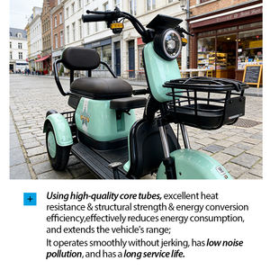 Triciclo Eléctrico <span class=keywords><strong>Plegable</strong></span> para Adultos de 60V, Motocicleta de 3 <span class=keywords><strong>Ruedas</strong></span>, <span class=keywords><strong>Bicicleta</strong></span> Eléctrica para Pasajeros Mayores, Certificado EEC Europa - Product Image 5