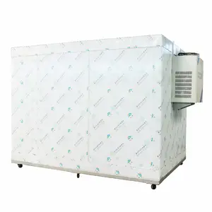 Congélateur walkin commercial conteneur réfrigéré chambre froide chambre froide froide à vendre