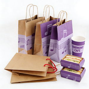 Sac en papier kraft avec poignée torsadée, sacs personnalisés imprimés pour produits ménagers - Product Image 5