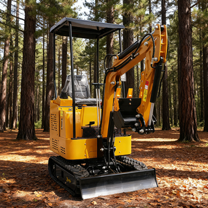 Mini <span class=keywords><strong>Excavadora</strong></span> Hidráulica <span class=keywords><strong>de</strong></span> 1t/1.5t/2t con Motor Eaton y Bomba, Tipo Oruga, 1 Año <span class=keywords><strong>de</strong></span> Garantía, Alta Eficiencia - Product Image 1