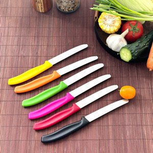 Coltelli Esclusivi JYTD10136 per Bistecche/Dessert/Frutta/Pomodori con Lama Affilata e Resistente, Ideali per l'Esportazione - Product Image 1