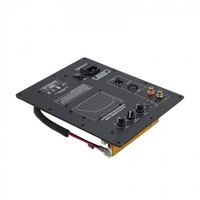 Théâtre Audiophile Subwoofer Amplificateur Board Plate Amp Subwoofer Ethics Sound Rated 200W Output