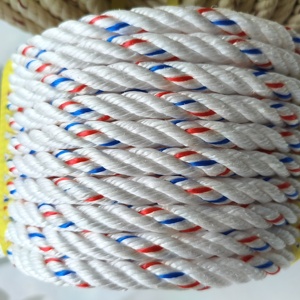 Venta al por Mayor de Cuerda de Polipropileno Danline de Alta Calidad, 3 Hilos, 11mm 12mm, Cuerda de PP para Uso Marino - Product Image 1