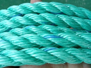 <span class=keywords><strong>Cuerda</strong></span> <span class=keywords><strong>de</strong></span> Nailon/PE/Trenzada <span class=keywords><strong>de</strong></span> Plástico <span class=keywords><strong>de</strong></span> 16 mm a <span class=keywords><strong>Precio</strong></span> <span class=keywords><strong>de</strong></span> Fábrica para el Mercado Filipino - Product Image 3