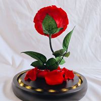 Susunan Mawar Awet Grosir dalam Wadah Kaca Bercahaya Tahan Lama untuk Hari Valentine dan Natal