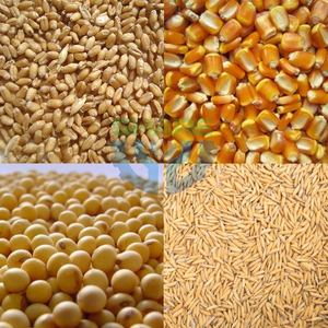 Tragbarer flexibler Schneckenförderer <span class=keywords><strong>Sand</strong></span>- und Getreidezuführungsmaschine Getreide-Weizen-Sauggebläse - Product Image 6