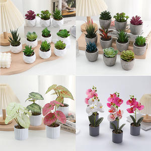 Set de Plantas Artificiales Decorativas de Phalaenopsis y <span class=keywords><strong>Suculentas</strong></span> <span class=keywords><strong>en</strong></span> Maceta para Decoración del Hogar y Arreglos Florales - Product Image 3