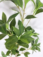Fleur artificielle en plastique Andromeda, tige coupée 100 cm, feuilles dentelées réalistes, lots en gros pour fleuriste de luxe, présentation en hall d'hôtel