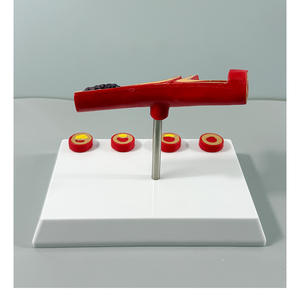 Modèle de blocage des vaisseaux sanguins en anatomie humaine LYA-002, concentration sanguine, <span class=keywords><strong>pathologie</strong></span> des graisses, atherosclérose, <span class=keywords><strong>pathologie</strong></span> <span class=keywords><strong>vasculaire</strong></span> - Product Image 4