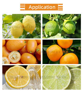 جلد نباتي صناعي ، مقشرة ليمون ماندارين كالامانسي البرتقال ، مقشرة ليمون - Product Image 4