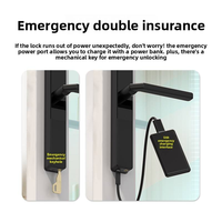 Cerradura Inteligente de Embutir de Aleación de Aluminio con Desbloqueo por Llave/Tarjeta/Contraseña, Almacenamiento en la Nube para Puertas Correderas de Acero/Latón, Cerradura Digital
