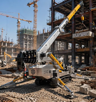 Mini grue sur chenilles standard 8T europe pour la construction
