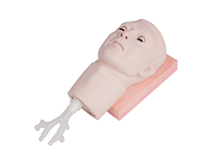 <span class=keywords><strong>Crico</strong></span>-Modèle de ponction thyroïdienne Science médicale Mannequin d'injection de soins infirmiers Modèle anatomique en PVC pour écoles et hôpitaux - Product Image 1
