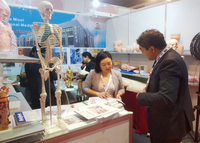 Cabeza de Maniquí de silicona realista y realista, modelo anatómico de alta calidad, para entrenamiento y simulación de inyección, 1 unidad