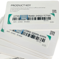 Tarjeta de Clave Original de Office 2021 Professional Plus en Inglés, Clave de Activación en Línea, Licencia, Garantía de 6 Meses, 2021, Hecho en EE. UU.