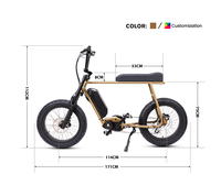 2025 Mario Retro Vintage Mid Drive Moteur 250w Vélo électrique Urban City Ebike