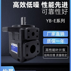Bomba de aceite YLC Xianju Vane Pump YB-E16 E25 E32 E40 E50 E63 E80 E100 E125 para sistemas hidráulicos - Product Image 4