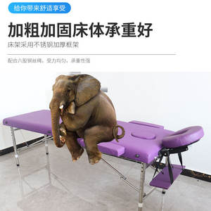 Adjustable Portable <b>Folding</b> Massage <b>Bed</b> <b>Double</b> Bar Handheld Home Use Beauty Examination <b>Bed</b> for Eyelash Direct Manufacturer - Product Image 6