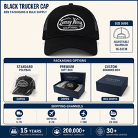 Casquette Trucker à Dos en Maille avec Logo Personnalisé, Visière Courbée, Respirante, 5 Couleurs Assorties, Snapback, Patch Brodé, Sport, Vente en Gros, OEM