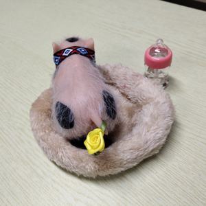 R & B-Mini muñeca realista de bebé <span class=keywords><strong>Reborn</strong></span> de silicona pura, Rosa suave, con gorro de pelo, nuevo diseño - Product Image 4